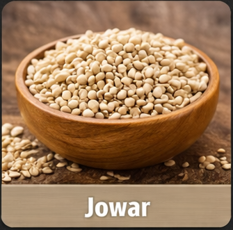 Jowar