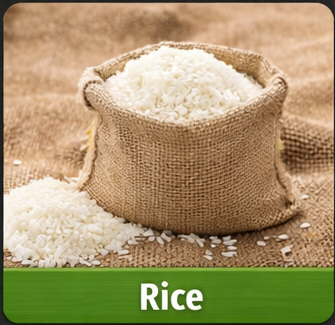 Rice