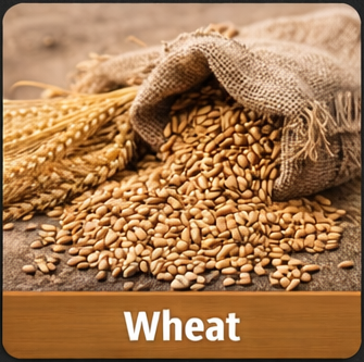 Wheat